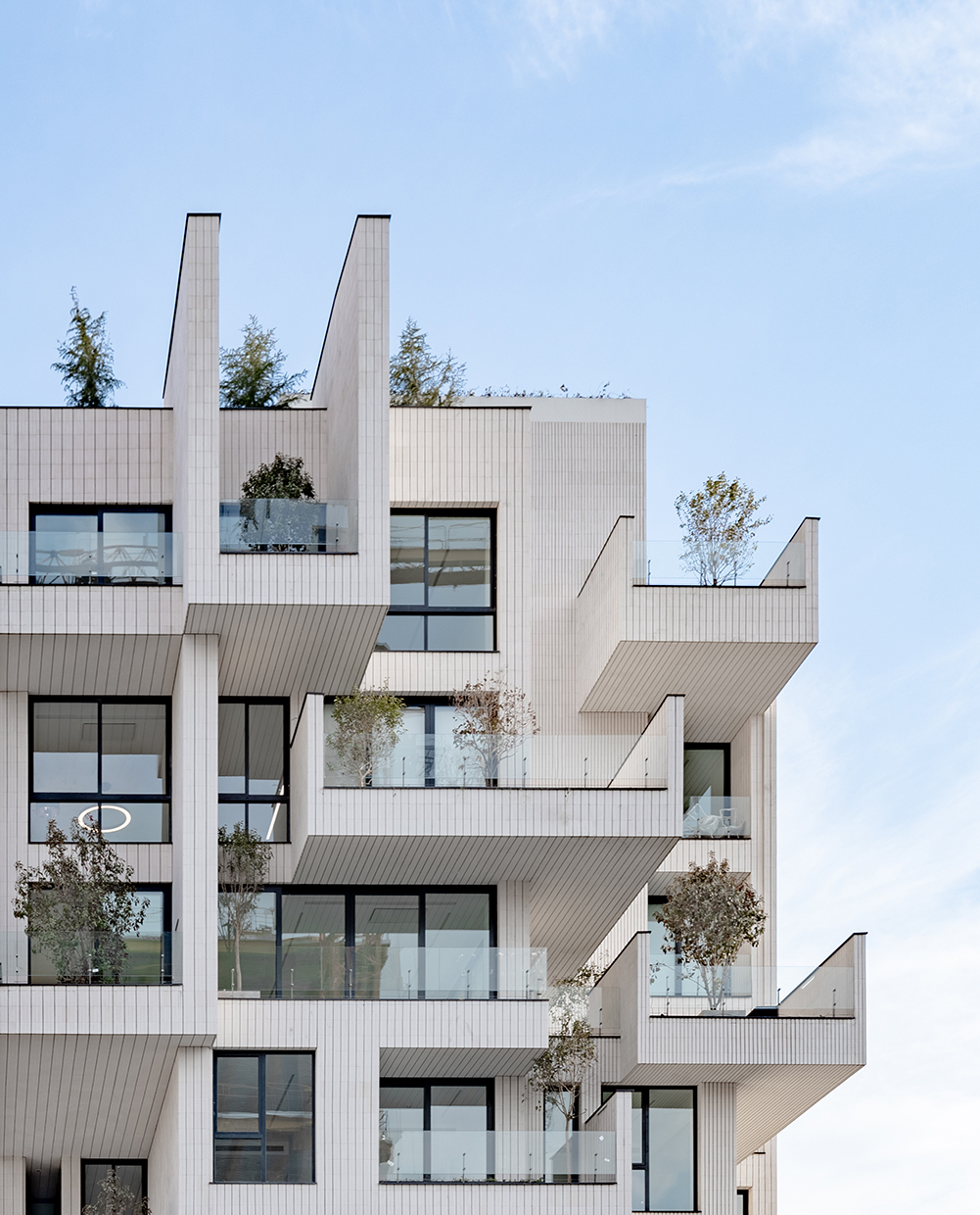 PROJECT CEDRUS