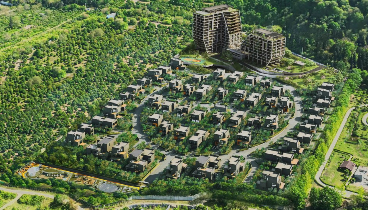 دامان