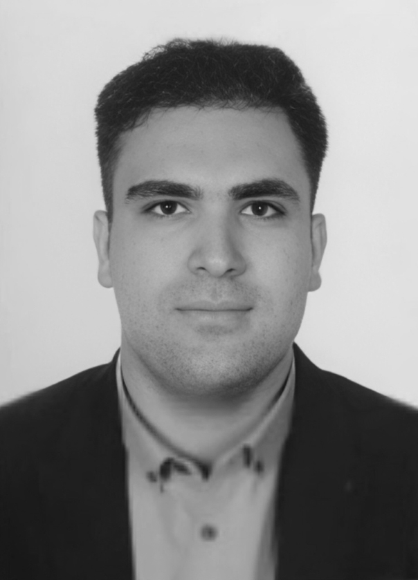 amirhossein karimi